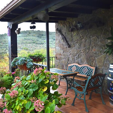 Casa Rural Los Olivos Sotoserrano Exteriör bild